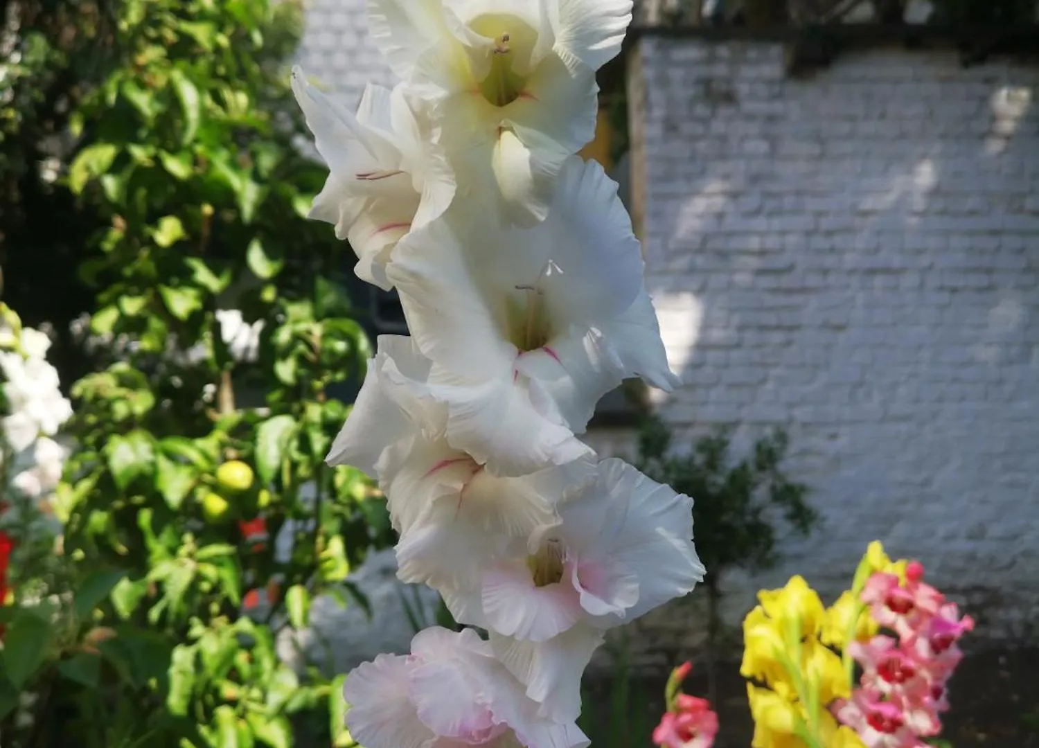 Maison Jamaer Bed & Breakfast Brussels